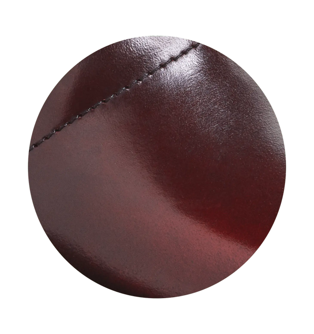 Sanita Pro. Cabrio Women's Brown Medical Clog - zoom view